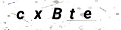 verifycode