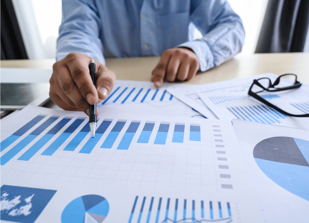 Business Information Report