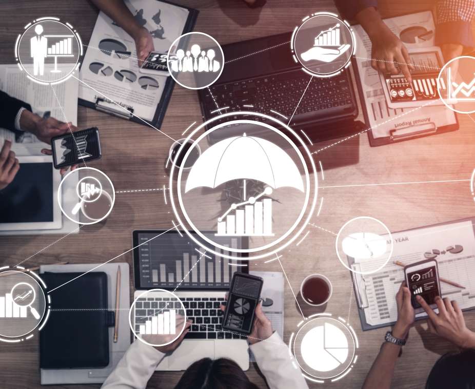 businessinformationreport1.jpg