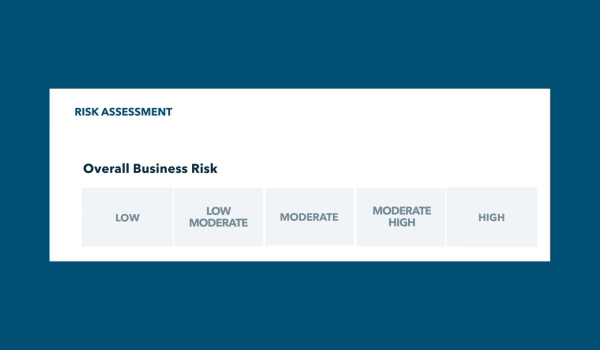 D&B Credit Risk data and insights